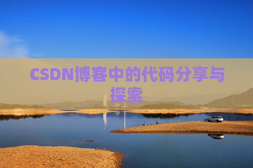 CSDN博客中的代码分享与探索